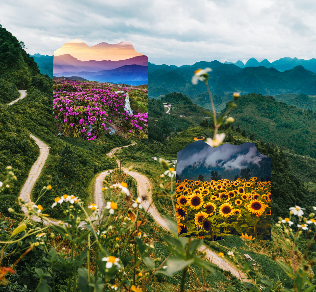 Chardham with Valley of Flower Package